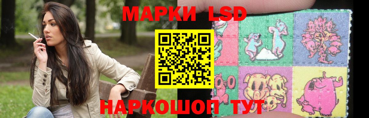 Камышлов  LSD-25 экстази  LSD-25 экстази кислота  Вход с VPN  ЛСД экстази кислота 