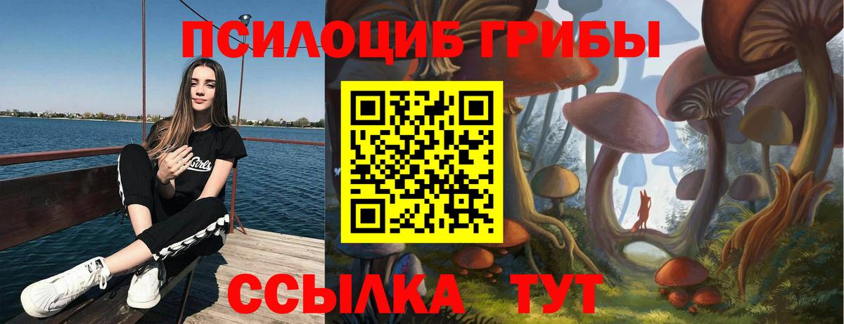 Галлюциногенные грибы ЛСД  Вход с VPN  Камышлов 