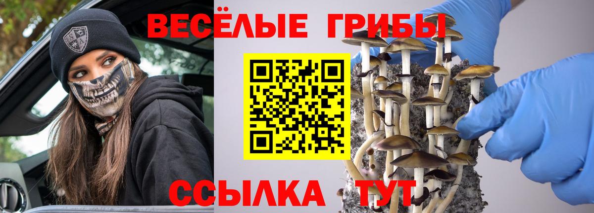 Галлюциногенные грибы Psilocybine cubensis Камышлов